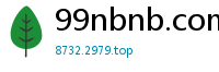 99nbnb.com
